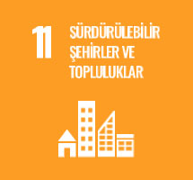 Sürdürülebilir Şehirler ve Topluluklar