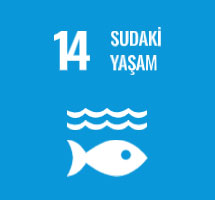 Sudaki Yaşam
