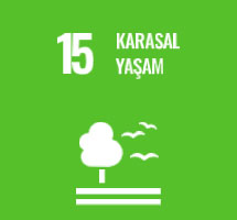 Karasal Yaşam