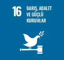 Barış, Adalet ve Güçlü Kurumlar