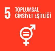 Toplumsal Cinsiyet Eşitliği