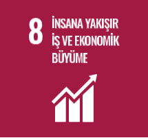 İnsana Yakışır İş ve Ekonomik Büyüme