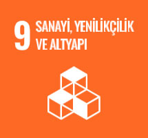 Sanayi, Yenilikçilik ve Altyapı